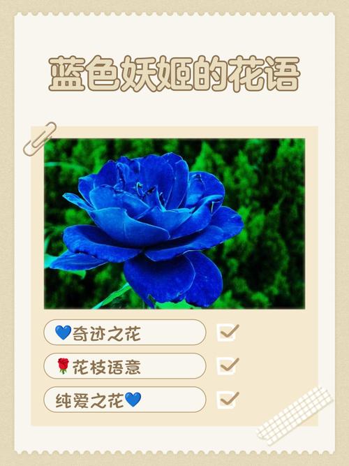 蓝色妖姬是玫瑰吗，蓝色妖姬是玫瑰吗图片？-第7张图片-优品飞百科