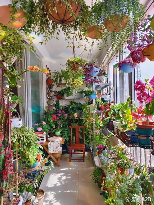 家里的花草如何放置，超级实用！，家中花草-第5张图片-优品飞百科