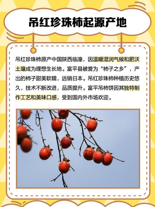 吊红和柿子区别，吊红柿子的功效与作用？吊红柿子树新品种？-第3张图片-优品飞百科