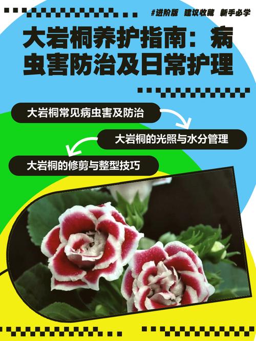 大岩桐的虫害及防治方法？大岩桐长虫怎么处理？-第5张图片-优品飞百科