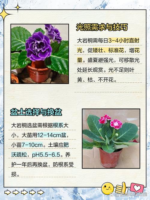 大岩桐的虫害及防治方法？大岩桐长虫怎么处理？-第6张图片-优品飞百科