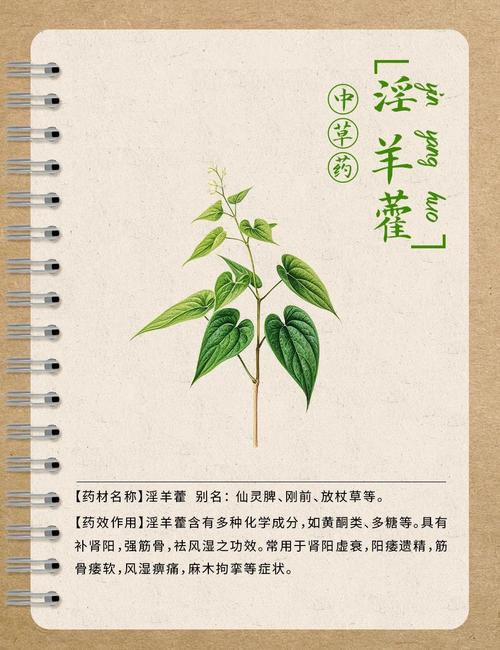 金鱼草与随意草的区别,金鱼草贴吧-第5张图片-优品飞百科 金鱼草与随意草的区别,金鱼草贴吧-第5张图片-优品飞百科