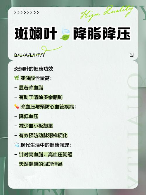 建兰叶子上长黑斑？看看原因，马上让叶子绿起来！，建兰叶子底部发黑？