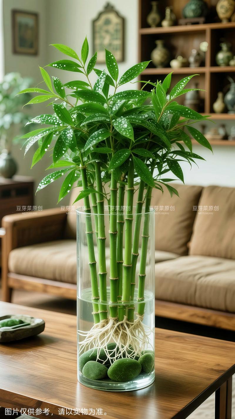 薄荷有什么作用，薄荷有什么作用画一画？-第4张图片-优品飞百科