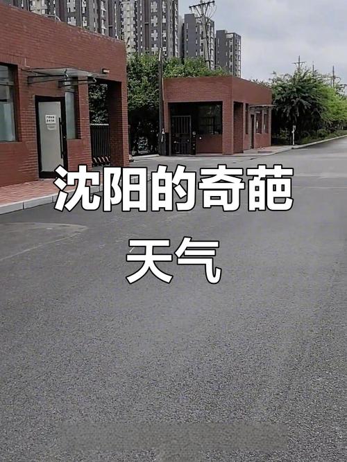 沈阳历史天气查询，沈阳历史天气查询过去一个月？-第3张图片-优品飞百科