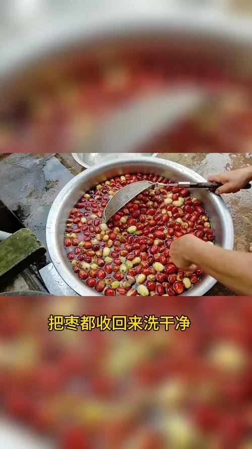 冬枣和红枣的区别，冬枣和红枣的区别与功效一样吗-第2张图片-优品飞百科