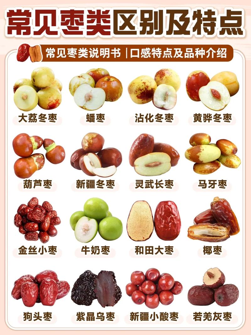 冬枣和红枣的区别，冬枣和红枣的区别与功效一样吗-第3张图片-优品飞百科