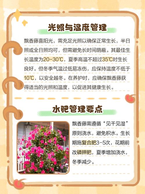 飘香藤的养殖方法和注意事项？万里飘香藤的养殖方法和注意事项？-第6张图片-优品飞百科