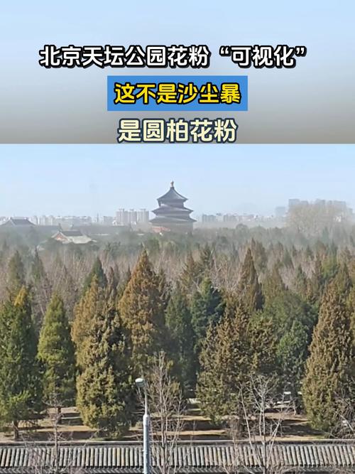 北京市东城区的天气预报？北京市东城区的天气预报一周？-第4张图片-优品飞百科