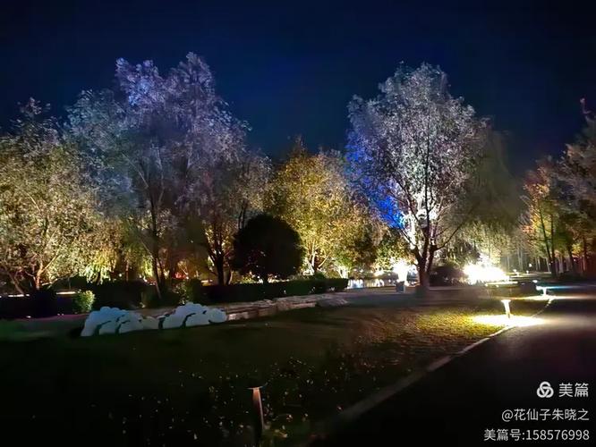 仙居县天气预报15天查询，仙居县天气预报15天查询表-第1张图片-优品飞百科