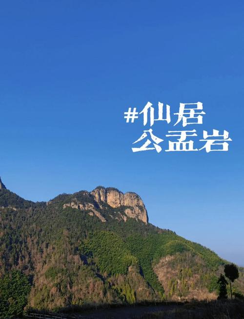 仙居县天气预报15天查询，仙居县天气预报15天查询表-第5张图片-优品飞百科
