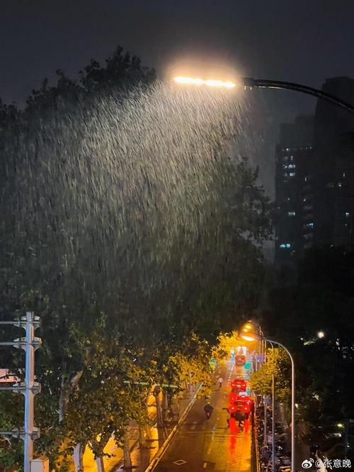 上海天气杨浦区最新？上海天气杨浦区最新情况？-第2张图片-优品飞百科