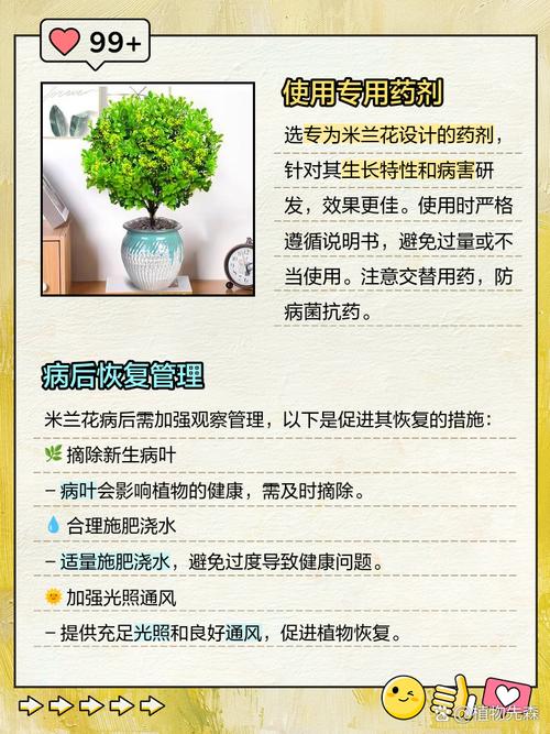 米兰花有哪些虫害,米兰花有虫害掉叶子怎么救?-第5张图片-优品飞百科 米兰花有哪些虫害,米兰花有虫害掉叶子怎么救?-第5张图片-优品飞百科