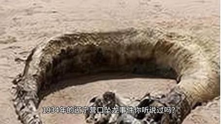 中国山东省潍坊市昌乐县天气小时，山东省潍坊市昌乐县天气预报？-第5张图片-优品飞百科