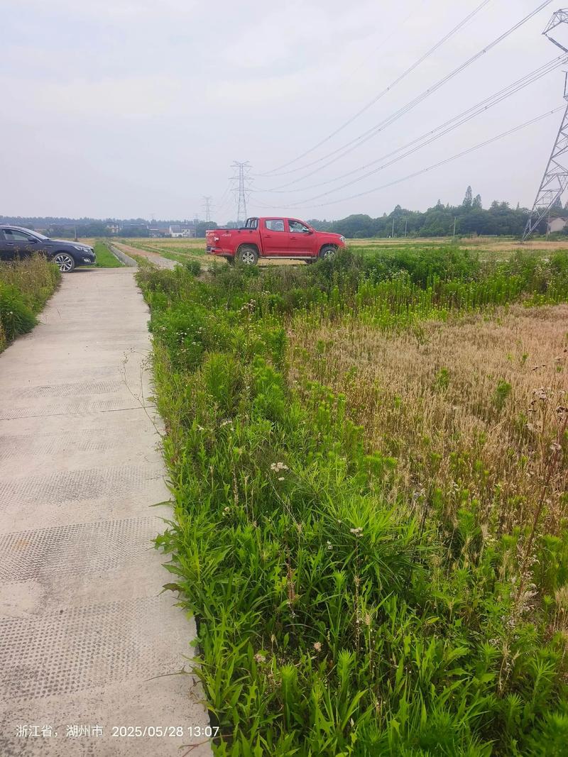 黄冈市蕲春县天气30天，查蕲春县天气-第5张图片-优品飞百科