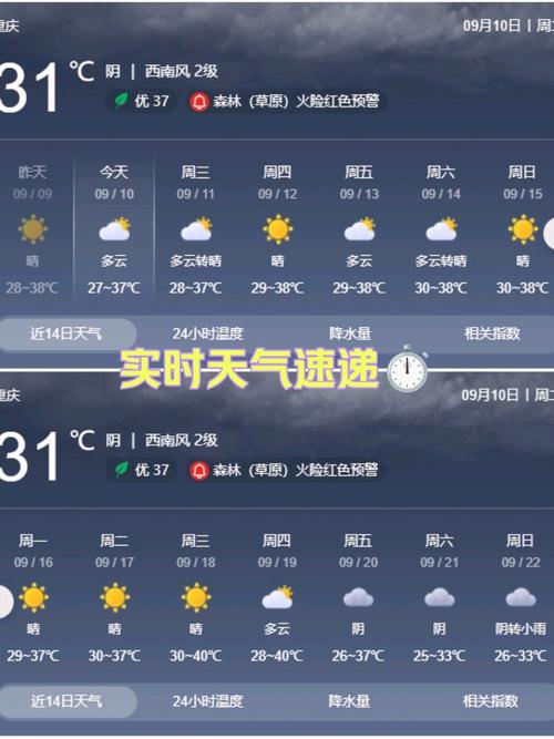 重庆以往天气预报查询最新情况？重庆历史天气预报查询2345？-第3张图片-优品飞百科