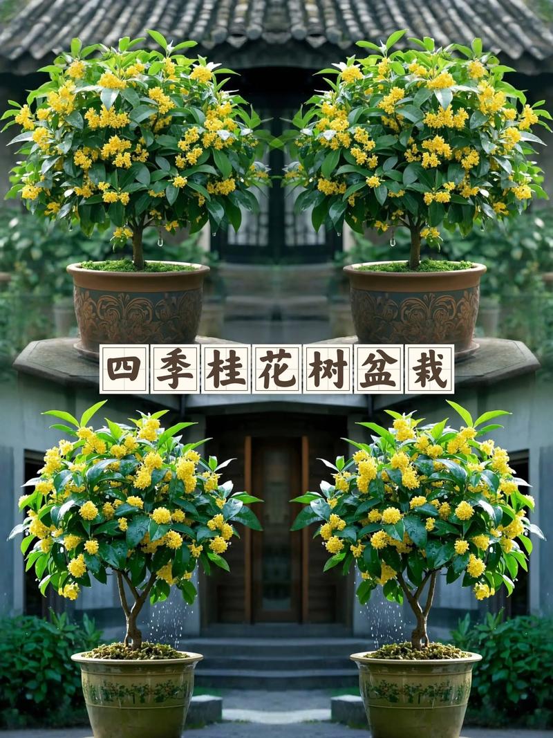 湘西适合养什么花,市花和市树是什么,湘西土质适合种植什么?-第3张图片-优品飞百科 湘西适合养什么花,市花和市树是什么,湘西土质适合种植什么?-第3张图片-优品飞百科
