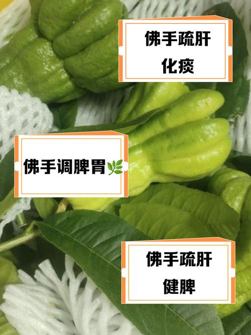 佛手的功效和作用，佛手的功效和作用及禁忌-第2张图片-优品飞百科