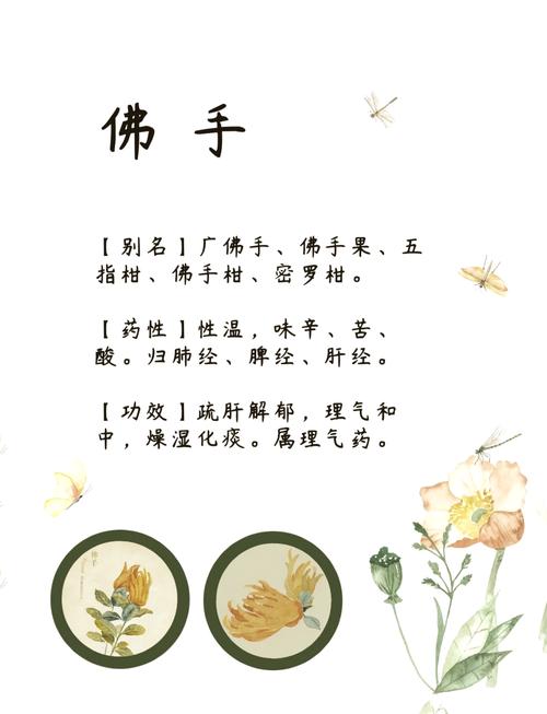 佛手的功效和作用，佛手的功效和作用及禁忌-第5张图片-优品飞百科