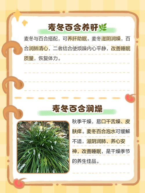 胎菊泡水喝有什么功效,决明子和胎菊泡水喝有什么功效?-第7张图片-优品飞百科 胎菊泡水喝有什么功效,决明子和胎菊泡水喝有什么功效?-第7张图片-优品飞百科