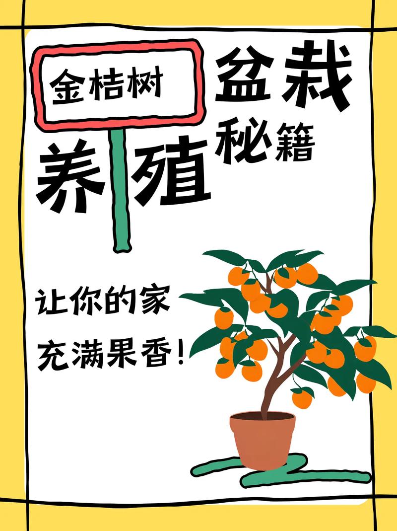 阳台如何养金桔，需要注意什么，阳台如何养金桔,需要注意什么事项-第2张图片-优品飞百科