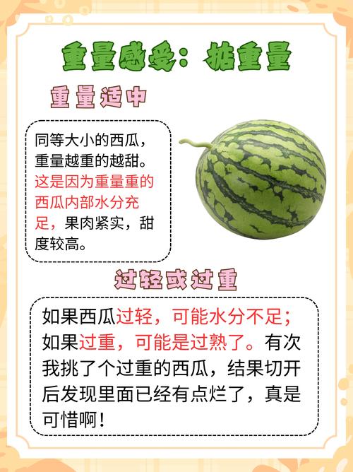西瓜减肥吗,如何挑选西瓜?西瓜减肥吗,如何挑选西瓜呢?-第5张图片-优品飞百科 西瓜减肥吗,如何挑选西瓜?西瓜减肥吗,如何挑选西瓜呢?-第5张图片-优品飞百科