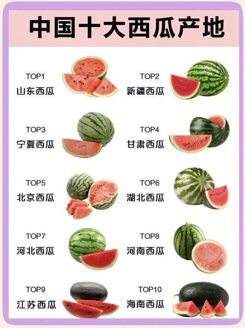 西瓜减肥吗,如何挑选西瓜?西瓜减肥吗,如何挑选西瓜呢?-第7张图片-优品飞百科 西瓜减肥吗,如何挑选西瓜?西瓜减肥吗,如何挑选西瓜呢?-第7张图片-优品飞百科