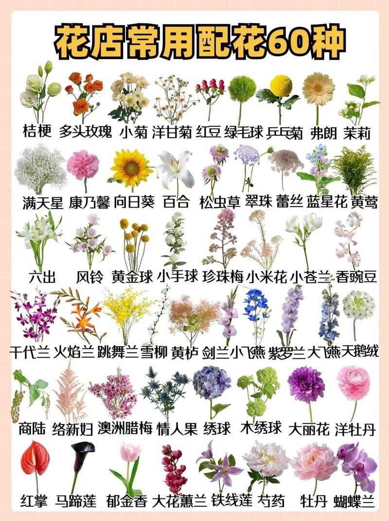 配花有哪些,配花有哪些品种?-第8张图片-优品飞百科 配花有哪些,配花有哪些品种?-第8张图片-优品飞百科