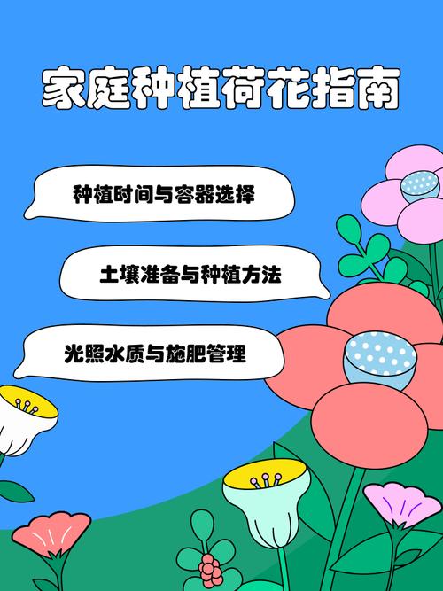 观赏荷花的种植方法,观赏荷花怎么种植花期-第3张图片-优品飞百科 观赏荷花的种植方法,观赏荷花怎么种植花期-第3张图片-优品飞百科