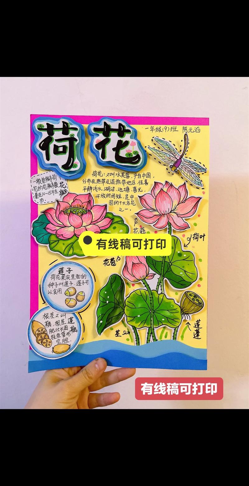 观赏荷花的种植方法,观赏荷花怎么种植花期-第7张图片-优品飞百科 观赏荷花的种植方法,观赏荷花怎么种植花期-第7张图片-优品飞百科