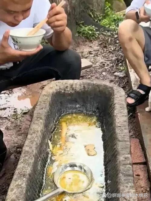 农村最不起眼的花,没人管就能美翻天?农村不常见的植物?-第7张图片-优品飞百科 农村最不起眼的花,没人管就能美翻天?农村不常见的植物?-第7张图片-优品飞百科