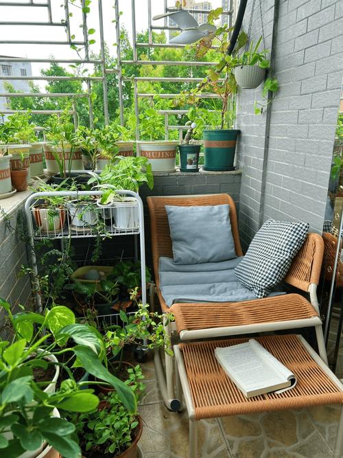 阳台养花你应该知道什么，阳台养花你应该知道什么意思-第3张图片-优品飞百科