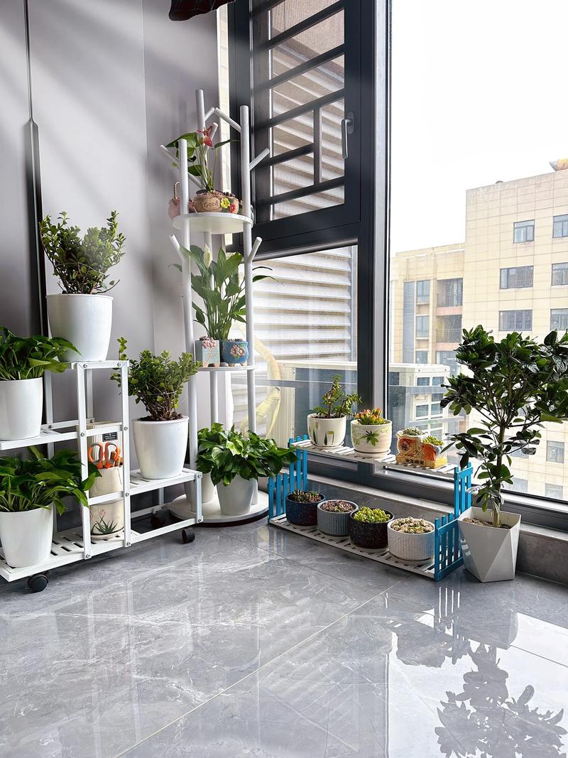 阳台养花你应该知道什么，阳台养花你应该知道什么意思-第4张图片-优品飞百科