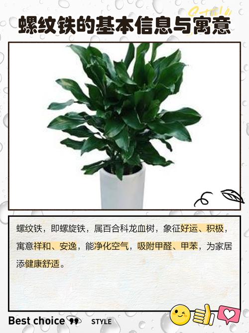 新买的螺纹铁怎么养,螺纹铁需要晒太阳吗?-第4张图片-优品飞百科 新买的螺纹铁怎么养,螺纹铁需要晒太阳吗?-第4张图片-优品飞百科