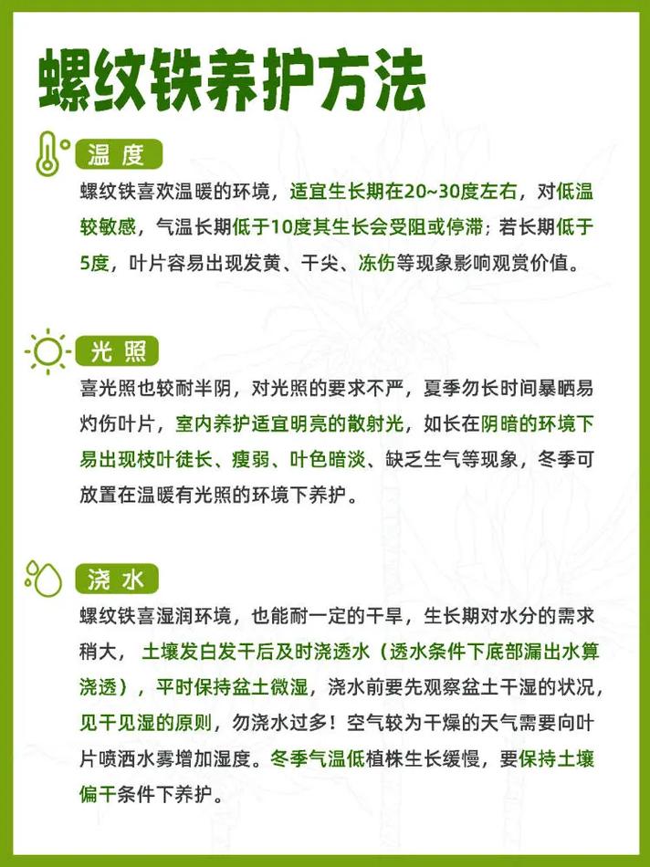 新买的螺纹铁怎么养,螺纹铁需要晒太阳吗?-第6张图片-优品飞百科 新买的螺纹铁怎么养,螺纹铁需要晒太阳吗?-第6张图片-优品飞百科