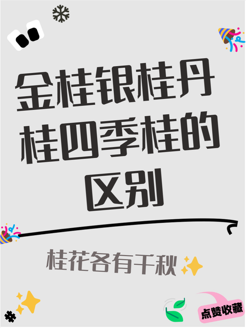 金桂和银桂的区别，金桂和银桂的区别在哪里？-第3张图片-优品飞百科