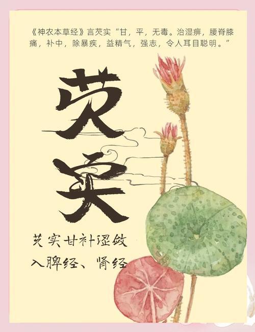 芡实的养殖方法？芡实的养殖方法有哪些？