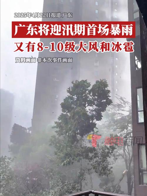 暴雨台风双预警天气预报，暴雨台风图片大全？-第3张图片-优品飞百科