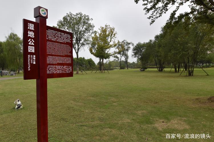 天气预报实时查询肥西县天气，肥西县的天气预报-第3张图片-优品飞百科
