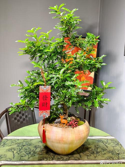 盆栽清香木的养殖方法和注意事项，清香木盆景的养殖方法-第4张图片-优品飞百科