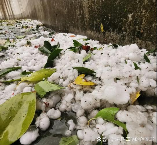 天气预报门头沟三家店？北京天气预报门头沟天气预报？-第2张图片-优品飞百科