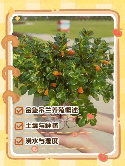 吊兰的功效,吊兰有什么作用?吊兰的作用与用途?-第3张图片-优品飞百科 吊兰的功效,吊兰有什么作用?吊兰的作用与用途?-第3张图片-优品飞百科