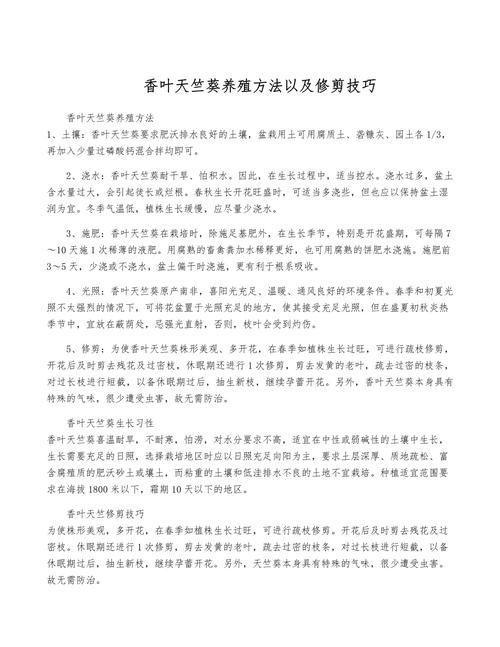 天竺葵的养殖方法和注意事项,香叶天竺葵的养殖方法和注意事项-第7张图片-优品飞百科 天竺葵的养殖方法和注意事项,香叶天竺葵的养殖方法和注意事项-第7张图片-优品飞百科