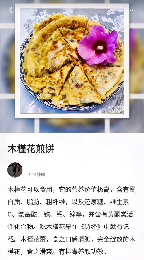 木槿可以吃吗?木槿花可以吃吗怎么吃?-第2张图片-优品飞百科 木槿可以吃吗?木槿花可以吃吗怎么吃?-第2张图片-优品飞百科