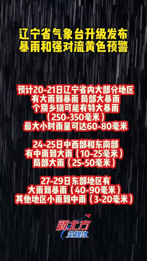 沈阳市和平区天气预报以往查询，辽宁省沈阳市和平区天气预报15天-第7张图片-优品飞百科