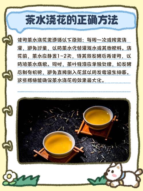 一帆风顺喜欢酸性还是碱性，一帆风顺喜欢酸性吗