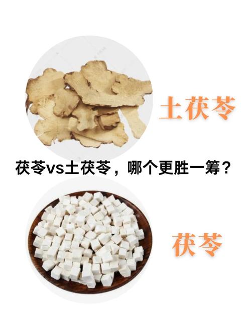 土茯苓的功效和作用，土茯苓的功效和作用是什么-第1张图片-优品飞百科