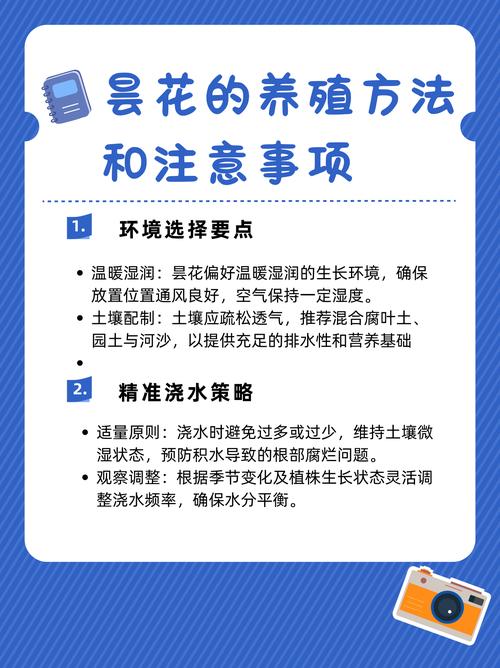 新买的昙花怎么养，新买的昙花怎么养才能开花？-第3张图片-优品飞百科