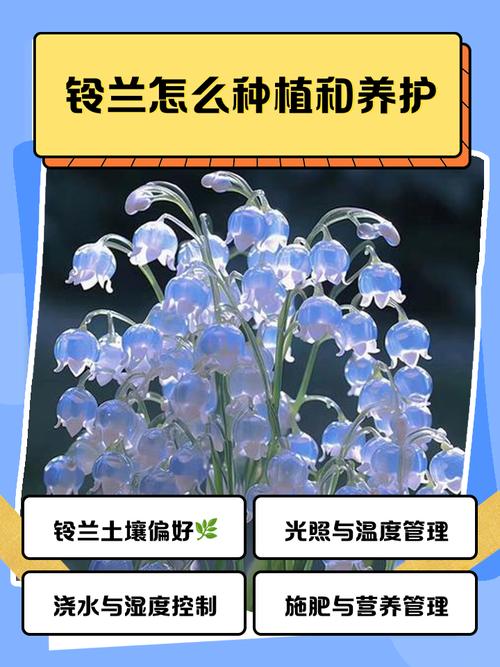 铃兰的茎腐病及其防治？铃兰根茎？-第2张图片-优品飞百科