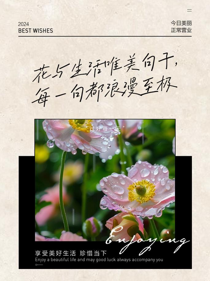 凤仙花叶子有白霜怎么回事，怎么办？凤仙花叶子上有白色的东西怎么办？